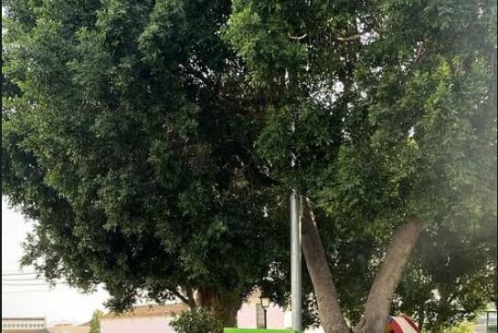 250917 Barriada El Puente